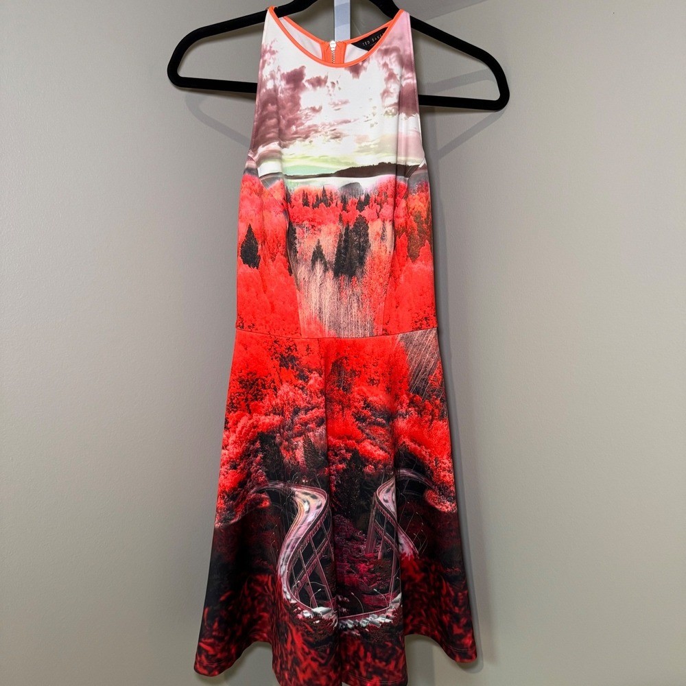 Ted Baker London Women's Dress Size 0 Sleeveless Graphic Print Fit & Flare